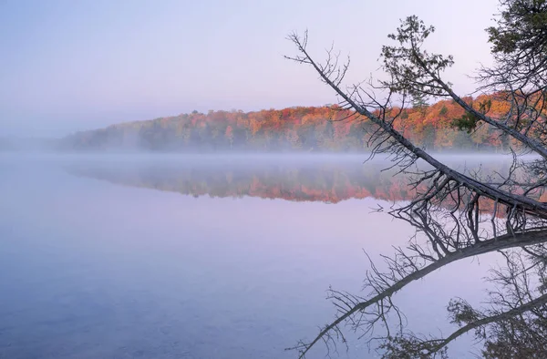 Herfst Landschap Bij Dageraad Van Pete Lake Mist Met Spiegelende — Stockfoto