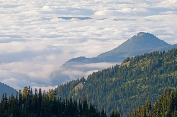 Paisaje Atardecer Montañas Nubes Fuera Del Monte Parque Nacional Ranier — Foto de Stock