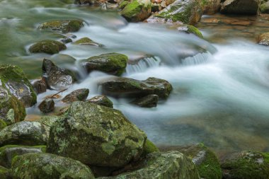 Big Creek, Great Smoky Dağları Ulusal Parkı, Tennessee, ABD