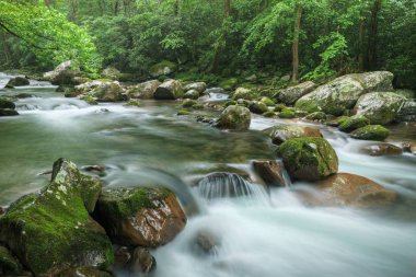 Big Creek, Great Smoky Dağları Ulusal Parkı, Tennessee, ABD