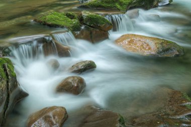 Big Creek, Great Smoky Dağları Ulusal Parkı, Tennessee, ABD