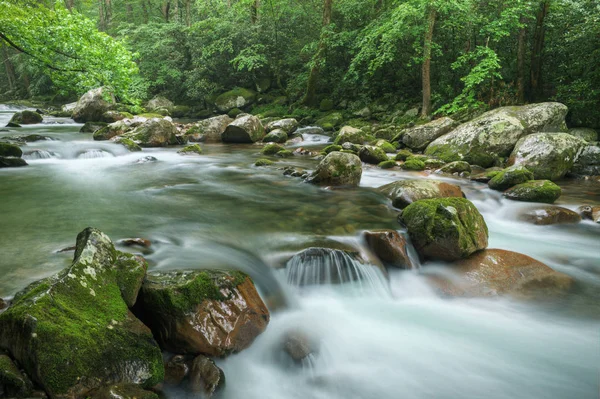 Summer Landscape Rapids Cascade Big Creek Great Smoky Mountains National — Stock Photo, Image