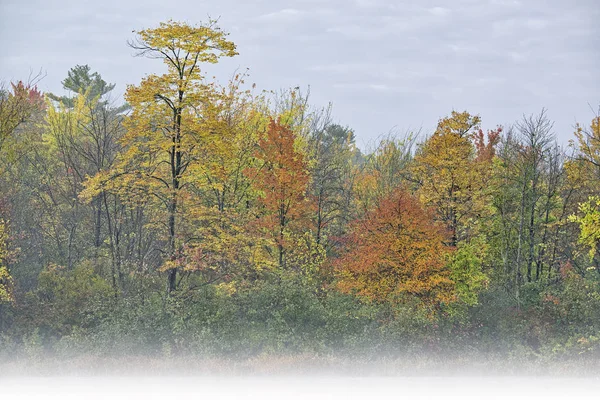 Podzimní Krajina Mlze Pobřeží Long Lake Yankee Springs State Park — Stock fotografie