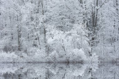 Warner Gölü 'nün kış manzarası sakin sularda yansıyan yansımalarla dolup taştı.