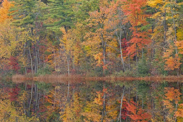 Autumn Landscape Long Lake Mirrored Reflections Calm Water Yankee Springs — Stockfoto