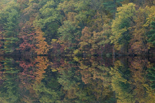 穏やかな水の中に鏡の反射とホール湖の海岸線の秋の風景 ヤンキースプリングス州立公園 ミシガン州 アメリカ — ストック写真