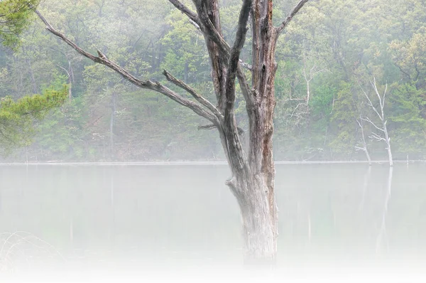 Paisaje Primaveral Costa Hall Lake Niebla Yankee Springs State Park — Foto de Stock