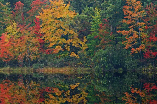 Krajina Podzimním Břehu Mcdonaldova Jezera Zrcadlovými Odlesky Klidné Vodě Yankee — Stock fotografie