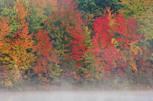 Landscape Foggy Autumn Shore Mcdonald Lake Yankee Springs State Park — Stock Photo, Image