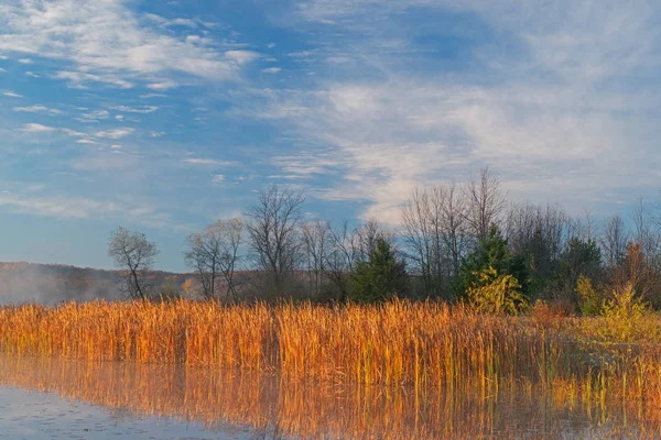 Φθινόπωρο Τοπίο Της Ακτογραμμής Του Jackson Hole Lake Κατά Την — Φωτογραφία Αρχείου