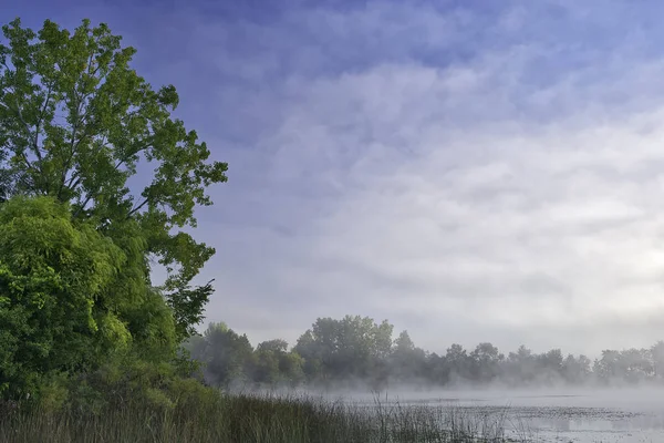 Neblige Frühlingslandschaft Ufer Des Whitford Lake Bei Sonnenaufgang Fort Custer — Stockfoto