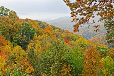 Sonbahar manzarası Great Smoky Dağları, Deep Creek Overlook, Ulusal Park, Kuzey Carolina, ABD