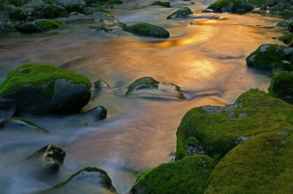 美国田纳西州大烟山国家公园 咆哮的福克溪景观被运动模糊所捕捉 被阳光照射的树叶反射出的色彩照亮 — 图库照片