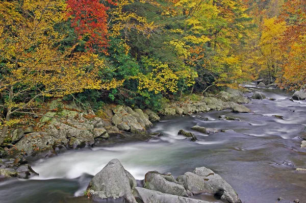 Herbstlandschaft Des Little River Von Laub Umrahmt Und Mit Bewegungsunschärfe — Stockfoto