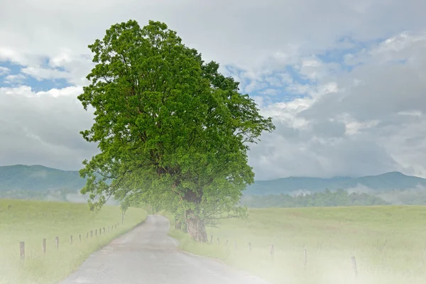 Hyatt Lane Sisli Bahar Manzarası Cades Cove Great Smoky Dağları — Stok fotoğraf