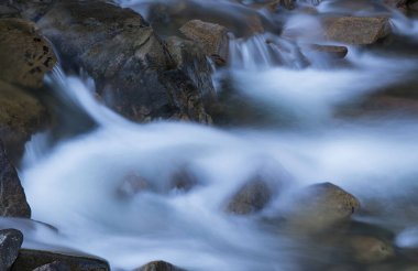 Boulder Creek 'in manzarası, hareket bulanıklığı, ön cephe, Rocky Dağları, Colorado, ABD