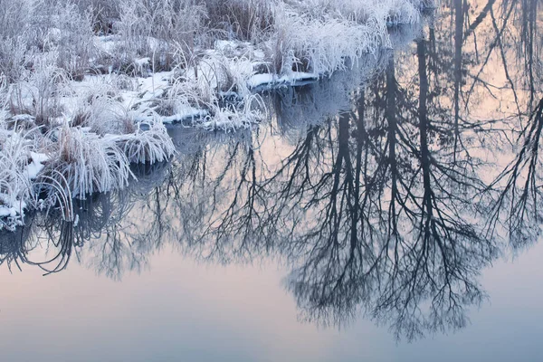 美国密歇根州 塔马拉克溪冬季景观 日出时分 天空和光秃秃的树木映照在平静的水面上 — 图库照片