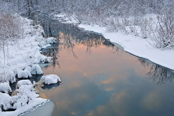 Winter Landscape Tamarack Creek Reflections Sky Bare Trees Sunrise Michigan — Stock Photo, Image