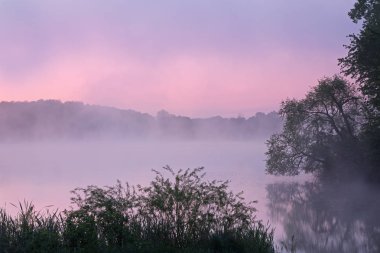 Jackson Hole Gölü 'nün yaz manzarası şafakta sakin sularda yansıyor, Fort Custer Eyalet Parkı, Michigan