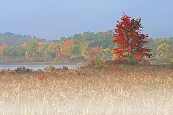 Nebelige Herbstlandschaft Bei Sonnenaufgang Der West Three Lakes Michigan Usa — Stockfoto