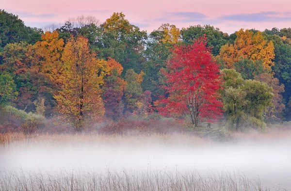 Туманный Осенний Пейзаж Рассвете Западных Трех Озер Мичиган Сша — стоковое фото