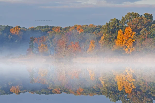 Foggisk Høstlandskap Ved Soloppgang Ved West Three Lakes Med Canada – stockfoto