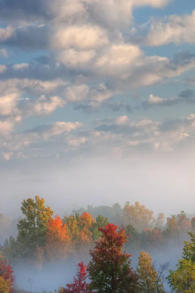 Foggy Herfst Landschap Van Bos Kalamazoo River Valley Michigan Usa — Stockfoto