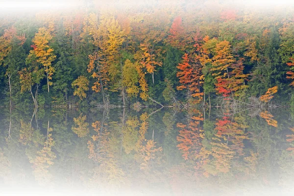 Foggy Autumn Landscape Shoreline Moccasin Lake Mirrored Reflections Calm Water — Stock Photo, Image