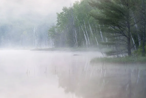 Ανοιξιάτικο Τοπίο Στην Αυγή Της Λίμνης Του Συμβουλίου Στην Ομίχλη — Φωτογραφία Αρχείου