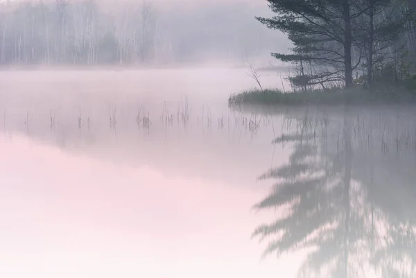 Paisaje Primaveral Amanecer Del Lago Council Niebla Con Reflejos Aguas — Foto de Stock