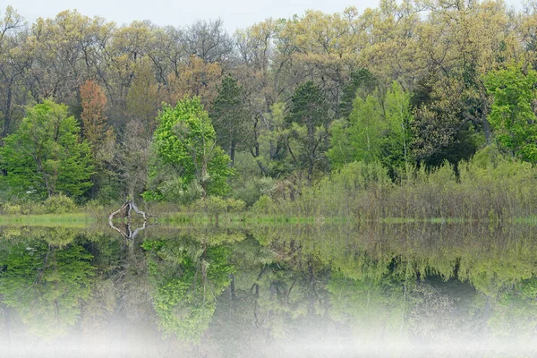 Paisagem Primavera Costa Deep Lake Nevoeiro Com Reflexos Espelhados Água — Fotografia de Stock