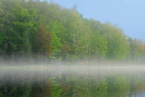 Tavaszi Táj Partvonal Deep Lake Ködben Tükrözött Gondolatok Nyugodt Vízben — Stock Fotó