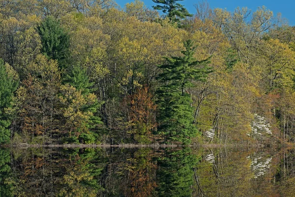 Εαρινό Τοπίο Της Ακτογραμμής Του Hall Lake Yankee Springs State — Φωτογραφία Αρχείου