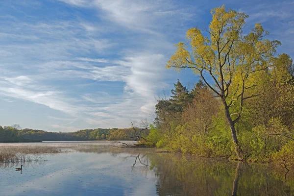 Frühlingslandschaft Ufer Des Whitford Lake Bei Sonnenaufgang Mit Spiegelungen Ruhigen — Stockfoto