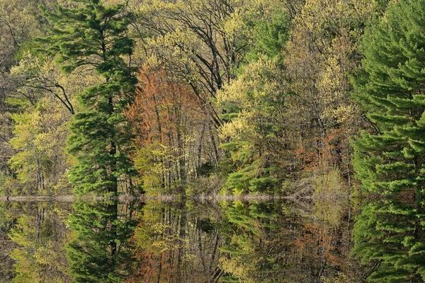 Jarní Krajina Pobřeží Hall Lake Zrcadlovými Odlesky Klidné Vodě Yankee — Stock fotografie