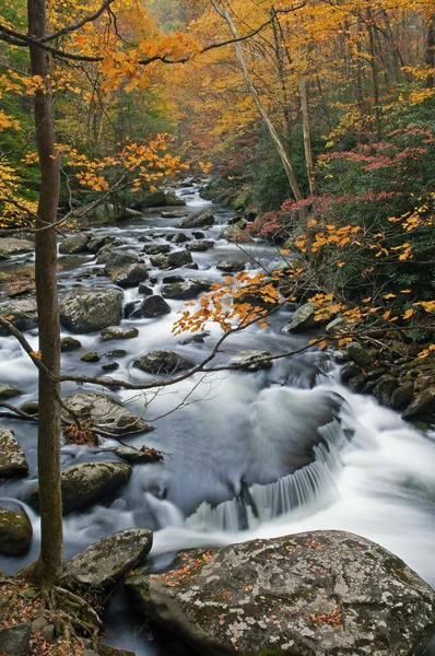 Paisaje Otoñal Del Río Little Enmarcado Por Follaje Capturado Con —  Fotos de Stock