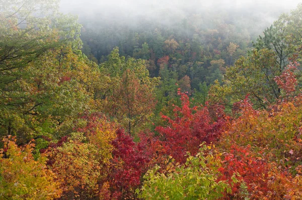 Paisaje Otoñal Niebla Desde West Foothills Parkway Great Smoky Mountains —  Fotos de Stock