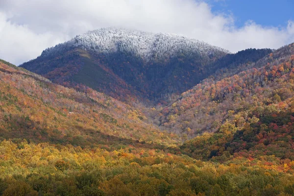 Höstlandskap Snö Flockad Mount Conte Stora Rökiga Bergen Nationalpark Tennessee — Stockfoto