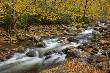 Big Creek 'in sonbahar manzarası hareket bulanıklığıyla, Great Smoky Dağları Ulusal Parkı, Tennessee, ABD