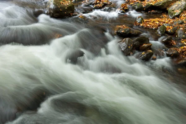 Őszi Táj Big Creek Rögzített Mozgás Elmosódás Great Smoky Mountains — Stock Fotó