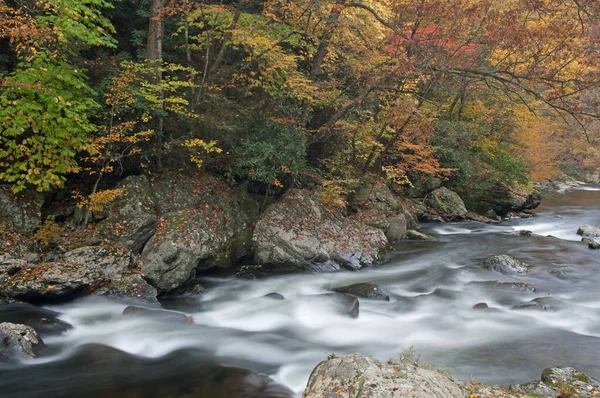 Podzimní Krajina Malé Řeky Rámovaná Listím Zachycena Pohybem Šmouhy Národní — Stock fotografie