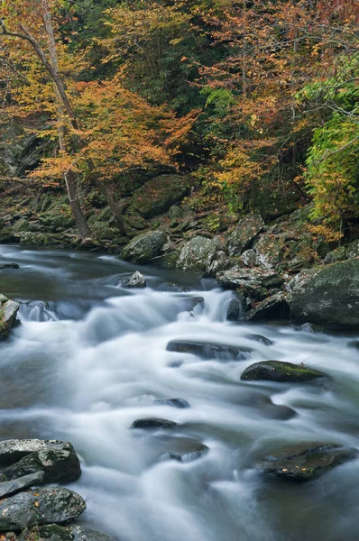 Podzimní Krajina Malé Řeky Rámovaná Listím Zachycena Pohybem Šmouhy Národní — Stock fotografie