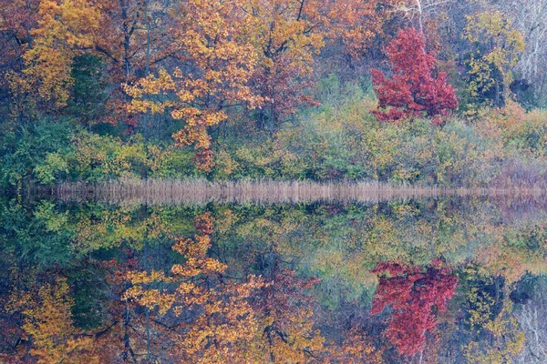 Őszi Partvonal Whitford Lake Tükrözött Tükröződik Nyugodt Vízben Fort Custer — Stock Fotó