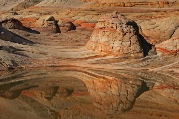 Desert Landscape Rock Formations Rain Pool Coyote Buttes Paria Canyon — Stock fotografie