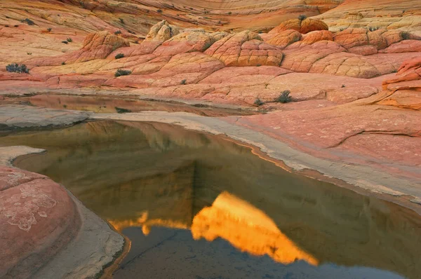 Desert Landscape Rock Formations Rain Pool Coyote Buttes Paria Canyon — Stock fotografie