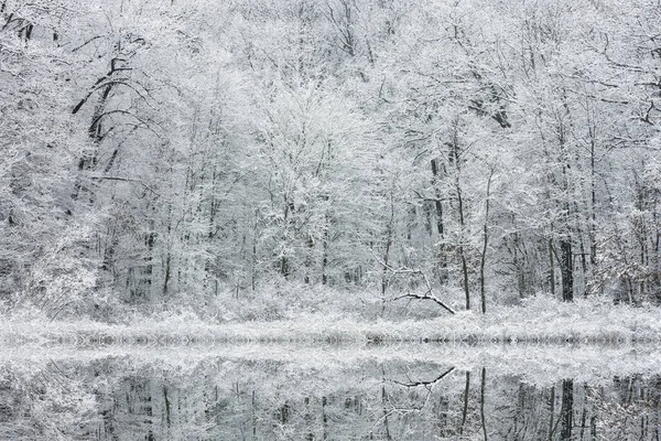 Winter Landscape Snow Flocked Shoreline Warner Lake Mirrored Reflections Calm — Stock Photo, Image