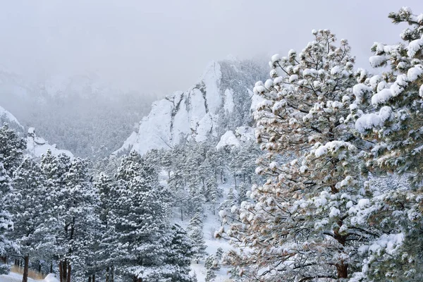 雪に囲まれたフラットアイアンの霧の冬の風景 フロントレンジ ロッキー山脈 ボルダー コロラド州 アメリカ — ストック写真