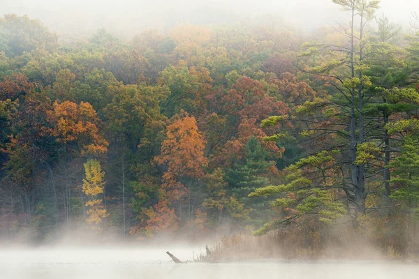 Herbstlandschaft Ufer Des Hallenser Sees Nebel Yankee Springs State Park — Stockfoto