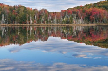 Council Lake 'in sonbahar manzarası sakin sulardaki ağaçların ve bulutların yansımaları, Hiawatha Ulusal Ormanı, Michigan' ın Yukarı Yarımadası, Usa