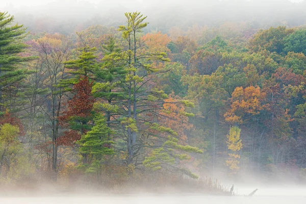 Paesaggio Autunnale Della Costa Hall Lake Nella Nebbia Yankee Springs — Foto Stock